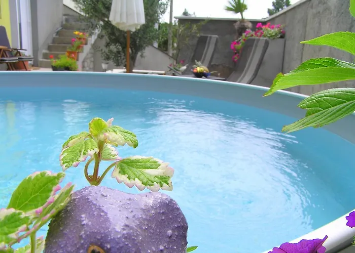 דירה As מטולי